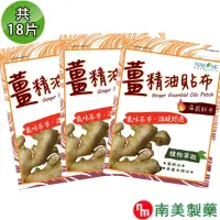 在飛比找momo購物網優惠-【南美製藥】薑精油溫感貼布(3入組)