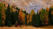 Landscape trees fall hut Custom Gaming Mat Desk