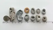 10 Natural Holey Beach Rocks Hag Stones Fairy Wish Adder Mystic Magic Bead Q4b