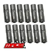 12 X HYDRAULIC ROLLER LIFTER FOR HOLDEN COMMODORE VS VT VU ECOTEC L36 L67 3.8 V6