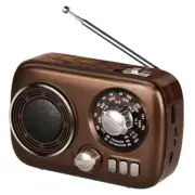 Portable Radio AM FM, Bluetooth Speaker Retro Radio, Support USB/TF Card,