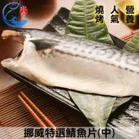 在飛比找鮮拾優惠-【佐佐鮮】挪威特選鯖魚片(中)(160g/包)_3包