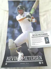 KEVIN PIETERSEN ENGLAND SIGNED IN PERSON PRINT ECB COA cricket ASHES JIMMY