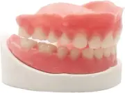 Reusable DIY Dentures with Gypsum Model - Temporary Teeth Replacement Solution