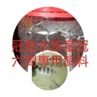 在飛比找蝦皮購物優惠-【冠昱水族】皇冠六間 約3-5cm 慈雕 水上 顆粒專用飼料