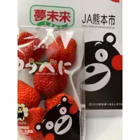 在飛比找蝦皮購物優惠-日本草莓 熊本草莓 日本空運 草莓