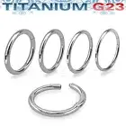 PAIR G23 Titanium Hinged Segment Ring Clicker Helix Lip Nose Septum Ring 20g-14g