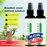 Brazilian Wood Plant Food 100ml Lucky Bamboo Liquid Fertilizer