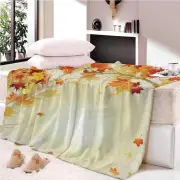 Winning Moderator Brown Light 3D Warm Plush Fleece Blanket Picnic Sofa Couch