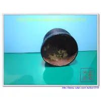 在飛比找蝦皮購物優惠-《蝦米郎》椰子殼 筆筒 碗 杯子 小花盆 容器 裝飾 擺設(