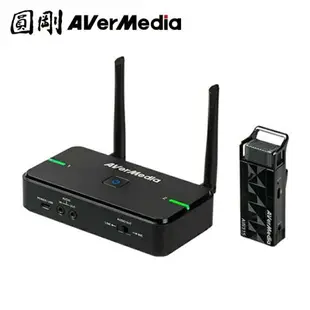 【含稅公司貨】AVERMEDIA 圓剛 AW315 無線麥克風 教學演講專用 單/雙麥克風組