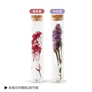 O'Pretty 歐沛媞 乾燥花許願瓶(15cm)-滿天星/勿忘我【美麗購】