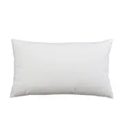 Duck Feather Cushion Insert