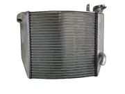 CUSTOM MADE ALUMINIUM RADIATOR FOR NSF250R 26MM CORE, check photos desc