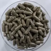 ORGANIC Vitex Negundo Capsules Pure and High Quality