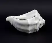 9942582 Porcelain Bowl Snails Shell Bisque Wagner & Apel 19x11cm