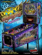 Aerosmith Premium Pinball FLYER Original Arcade Machine Hard Rock & Roll Art