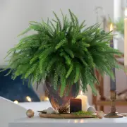 12Pcs Christmas Norfolk Pine Stems,Real Touch Artificial Norfolk Pine Branche...