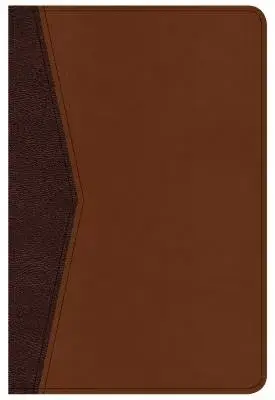 The Holy Bible: Christian Standard Bible, Compact Ultrathin Bible for Teens, Walnut Leathertouch