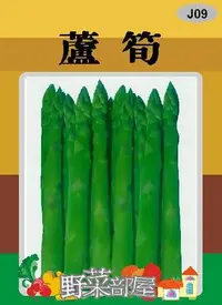 在飛比找Yahoo!奇摩拍賣優惠-【野菜部屋~】I46 美國蘆筍種子1.4公克 , UC-15