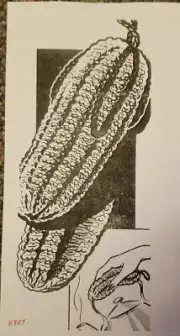 5907 Vintage CORNCOB POTHOLDER Patterns to KNIT(Reproduction) ANNE CABOT