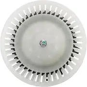 Car AC Heater Fan Blower Motor Heating Blower Compatible for Nissan Xtrail T31 2008 27225-EN000 27225-EN00B 27225-1VA0E Replacement