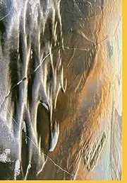 Daily Journal: Perceive Creations