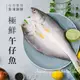 【巧食家】 台灣午仔魚201~250gX5尾 (三去.真空包裝)