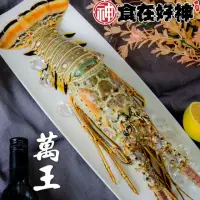 在飛比找momo購物網優惠-【食在好神】野生花龍龍蝦350G