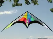 Stunt Kite Dual Line 102" x 30" RipStop Nylon + Carbon Spars + Line Set + Straps