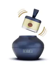 Tech Beauty Tools 24K Gold Sonic Luminous Boost