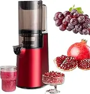 Slow Masticating Juicer, 250W 1400ML Cold Press Juicer with 2 Double Layers of Filter, 1 Juice/dregs Catching Cup, Detachable Pulp Separator Juicer with Cleaning Brush, Suitable for Vegetables