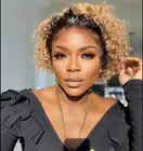 Short Pixie Cut Wig Wet Wavy Lace Front Wig Human Hair Wig For Women Ombre Blond