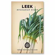 The Little Veggie Patch Co Leek Seeds