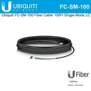 [FC-SM-100] Networks Networks Single Mode LC Fiber Cable - 30m