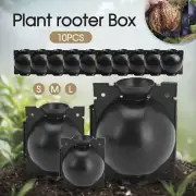 Plant Rooting Device High Pressure Propagation Ball Root Grow Grafting Box 10x