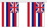 HAWAII U.S. STATE BUNTING 9 metres 30 flags Polyester flag