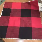 Pottery Barn Bryce Buffalo Check Sherpa Back 24x24in