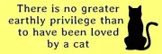 There is no greater earthly privilege cat Stencil for painting, DIY Sign #10340