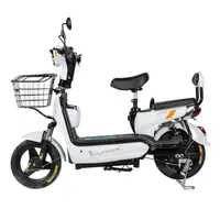 在飛比找蝦皮購物優惠-電動輔助自行車鋰電池可拆卸親子款(白)