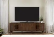WATSON Entertainment Unit