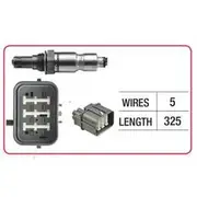 RAE Oxygen Sensor - OX783