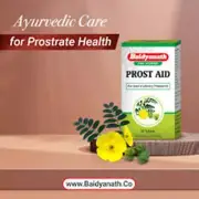2 X Baidyanath Prostaid 50 tablets Useful in Enlarged Prostate Free Shipping