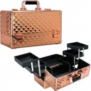 Rose Gold Professional Cosmetics Train Case Makeup Organizer with 6-Tiers Accord