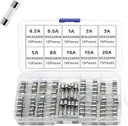 Glass Quick Fast Blow Fuse, 100pcs Glass Tube Fuses Assorted Kit 0.2A~20A, 10 Models Each 10pcs