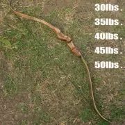 Archery 60" Takedown Recurve Bow Traditional Wooden Long Bow Laminated Limbs