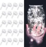 LEDIKON 20 Pack Cool White Fairy Lights Battery Operated,Long Lasting