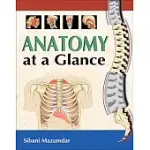 ANATOMY AT A GLANCE