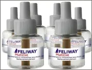 Feliway Friends MultiCat Calming Diffuser Refill 6 pack bulk discount