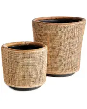 Napa Home & Garden Set of 2 Lyla Dry Basket Planters
